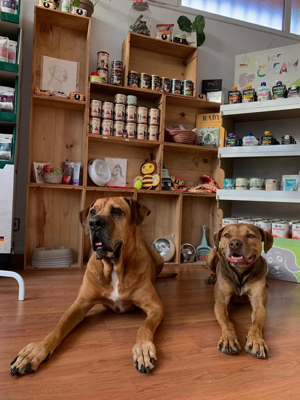 Alfa y Nena en la tienda de Candela