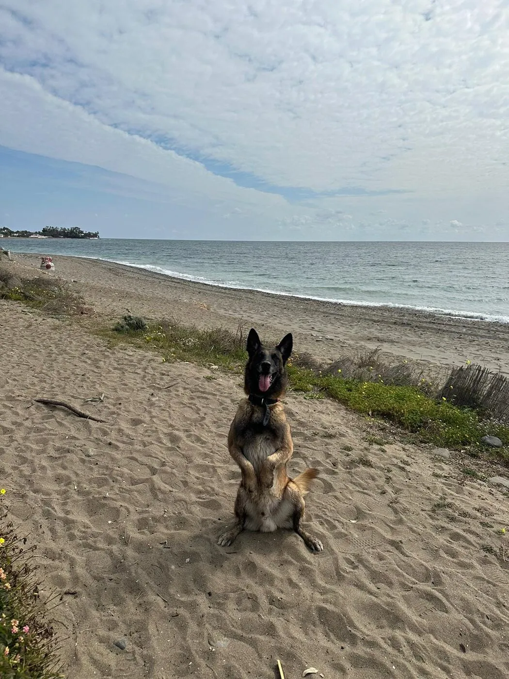 Kendo en la playa
